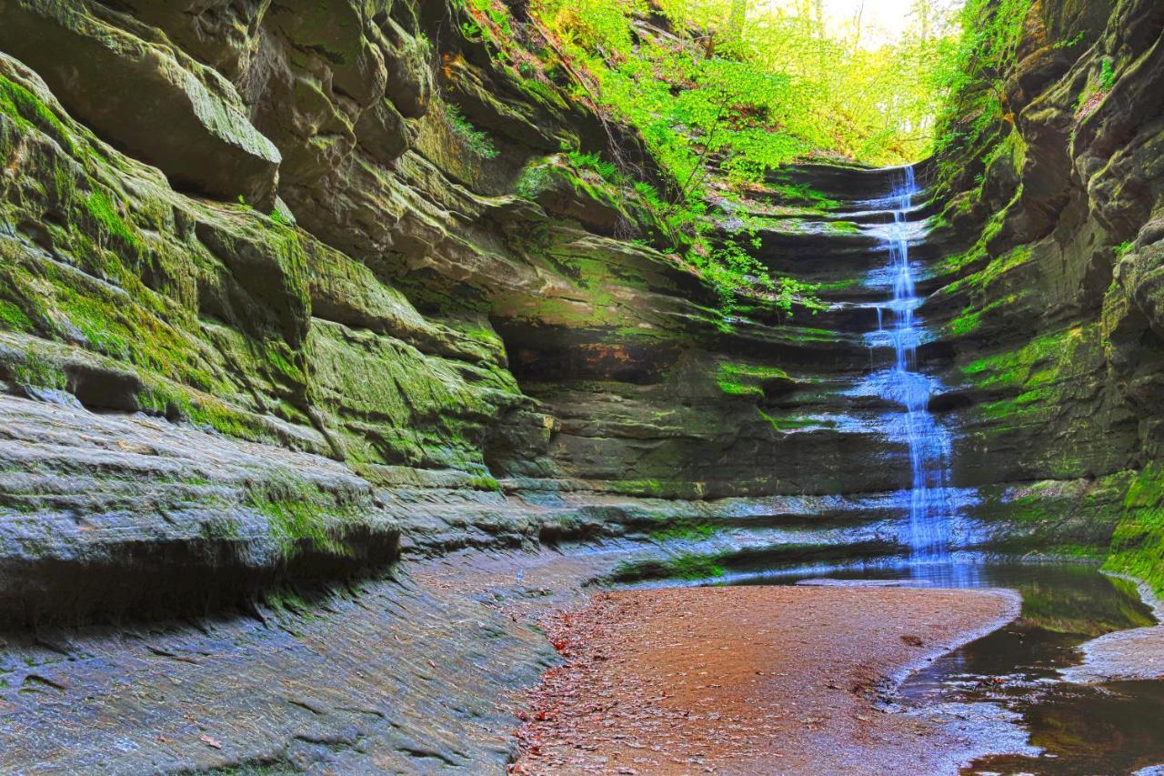 Starved Rock & Ottawa Retreat Amazing Getaway Home エクステリア 写真